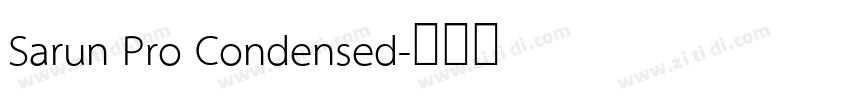 Sarun Pro Condensed字体转换